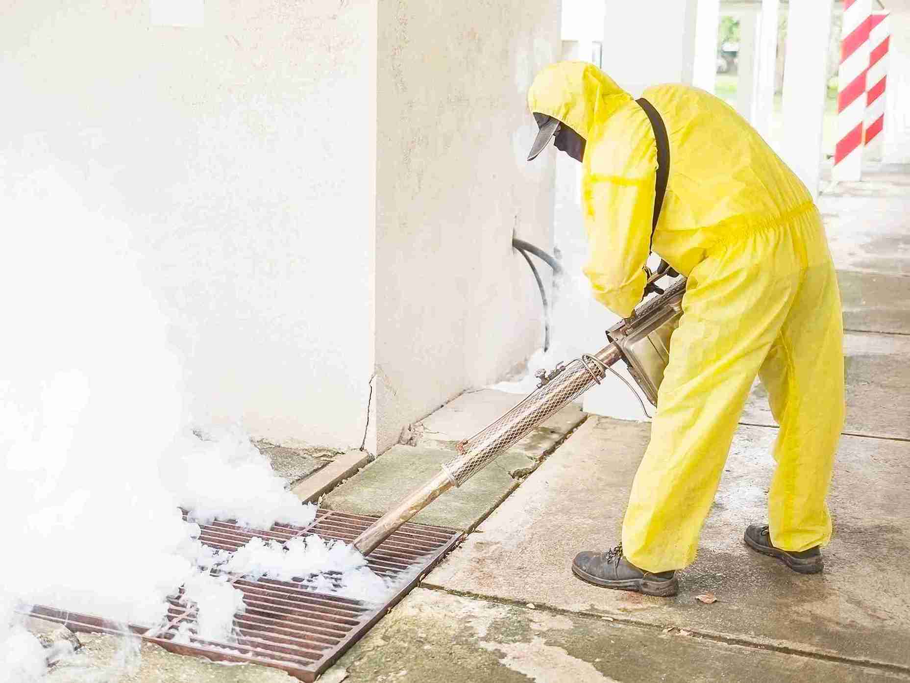 Remove Mold from Basement